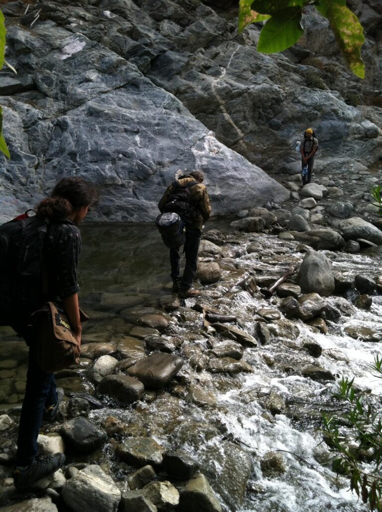 IMG 0713 768x1028