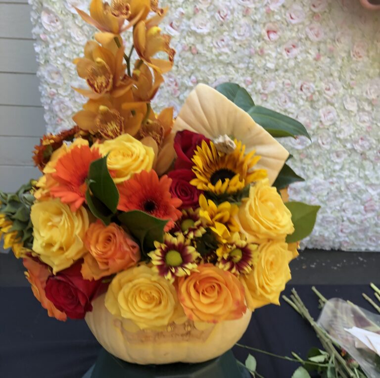 2B7A015E 2EFC 40AF 9B6C A2BA5171A79A 768x764