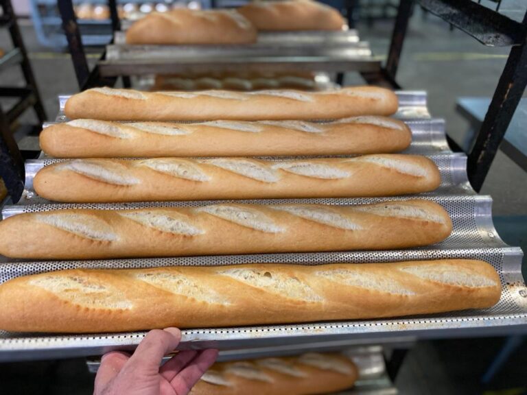 BF9865E0 A668 4738 BD82 4DF709C46ADC 768x576