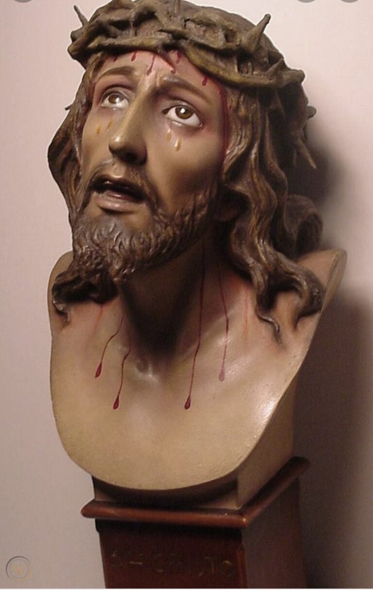 0AD24869 577C 4183 B976 A00D43A11AA5 768x1222