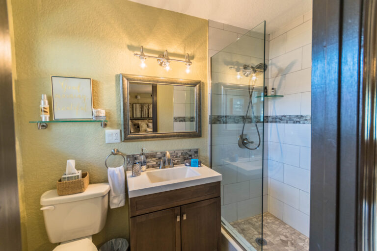 DSC 0179 HDR 768x512