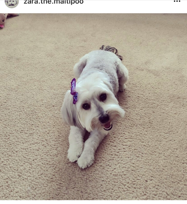 F3976B31 2A1B 4E94 9AEF 4A5FD1CA05A1 768x838