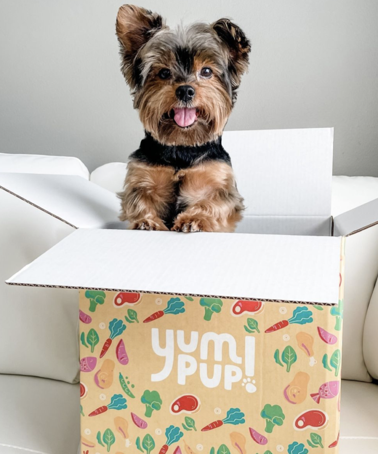 Screen Shot 2022 09 10 at 2.29.07 PM 768x922