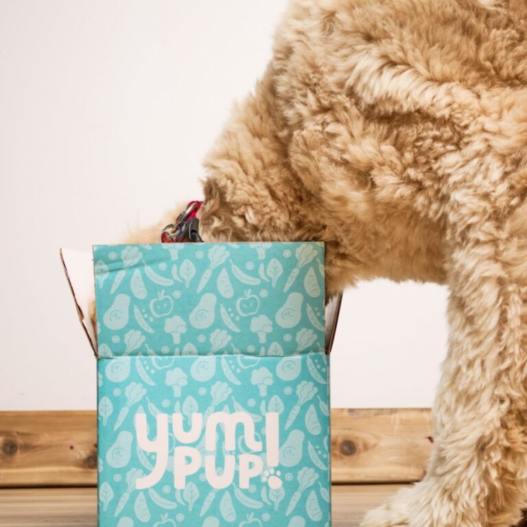 Untitled design 768x768