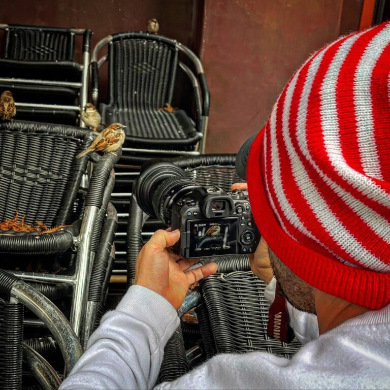 3. Neighborhood Screen Arts 768x768