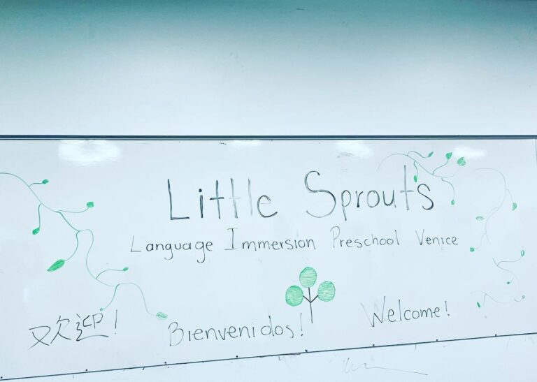 8DE150D7 B393 4791 B568 2AD84A32D1B3 768x547