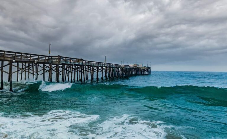 FB IMG 1665025122985 768x473