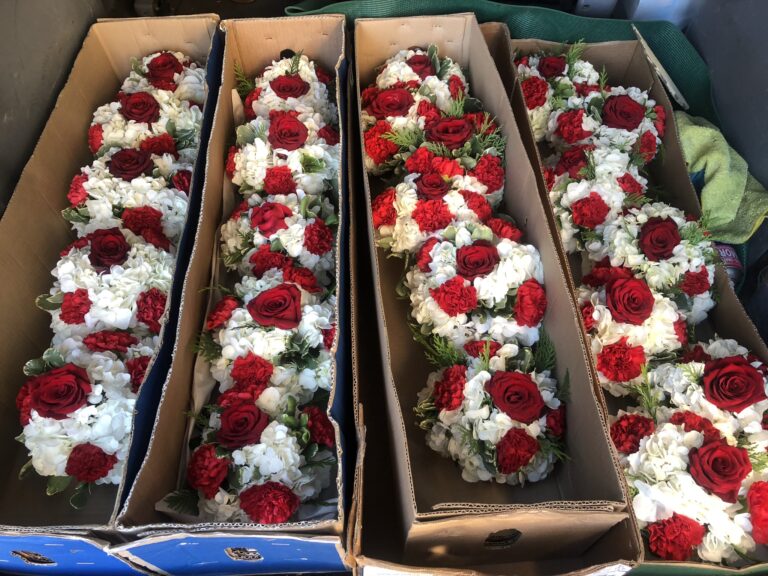 CE03CE04 221E 499E 89E6 D055F201E8F6 768x576