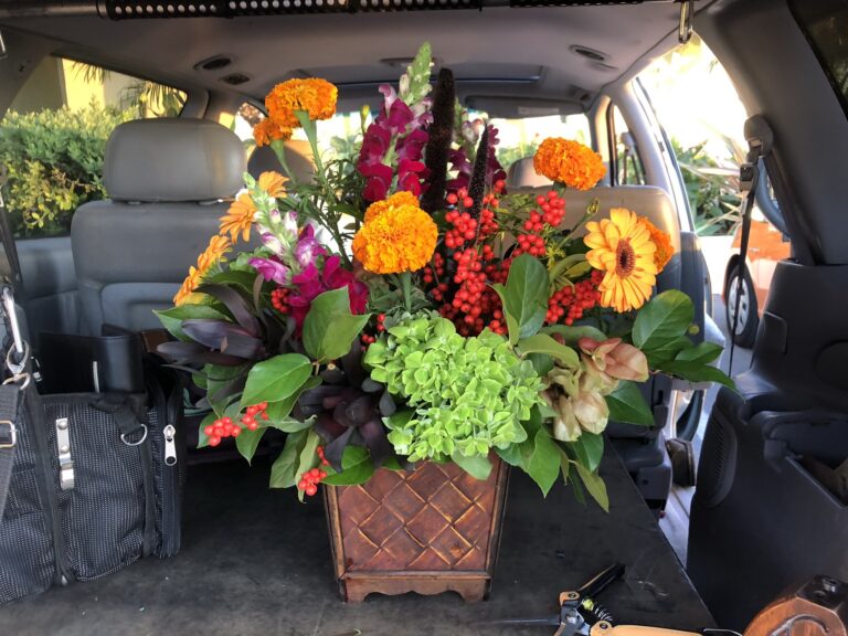 E0B9E0A6 515F 4030 B333 C9E68162C26A 768x576