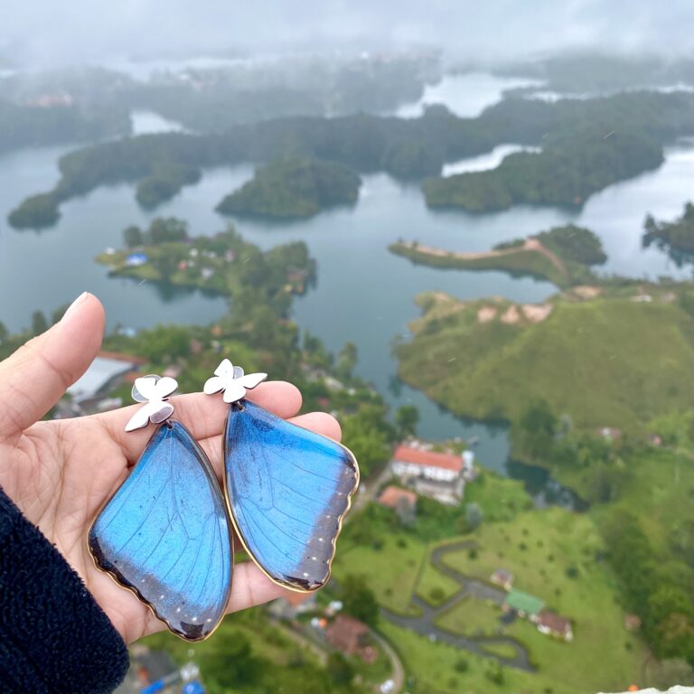 0C3B7099 0EE8 479E 9F29 F0357A049026 768x768