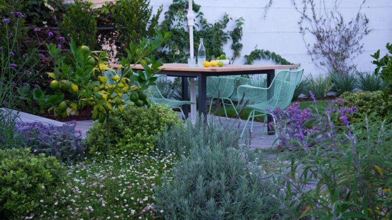 0926b1c1 cad5 4ce0 baf7 5423935a1306 768x432