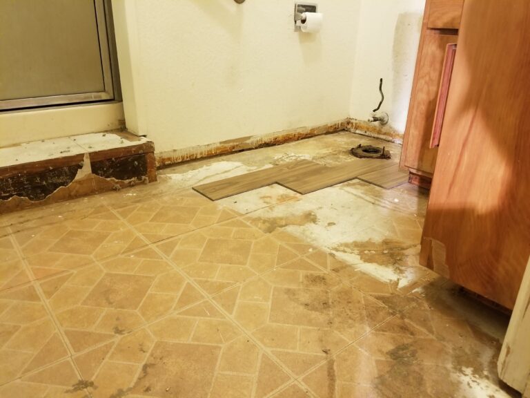 20201109 172553 1 768x576