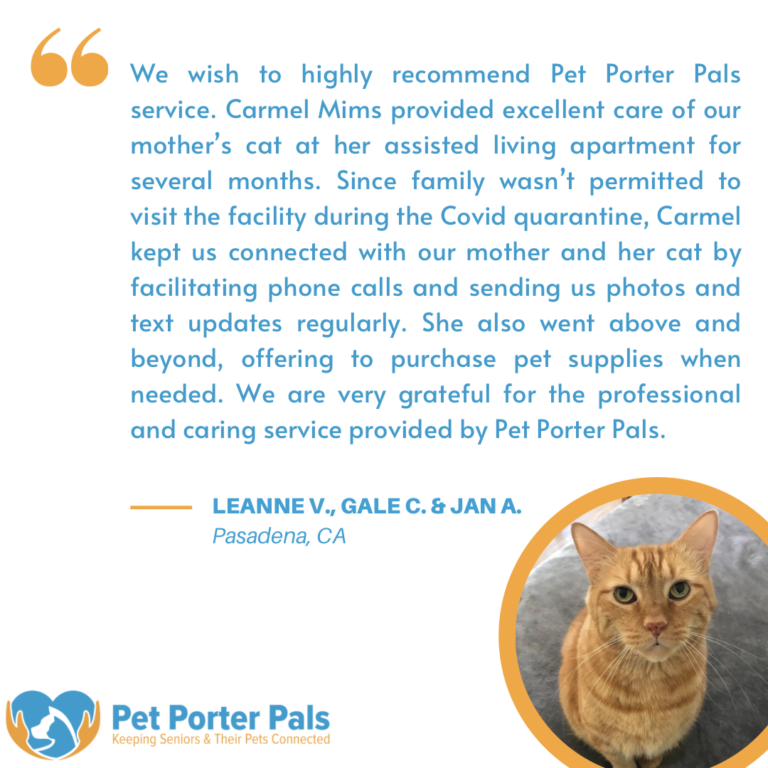 9E60FDCD FAC7 4A81 95E4 169EFC54797D 768x768