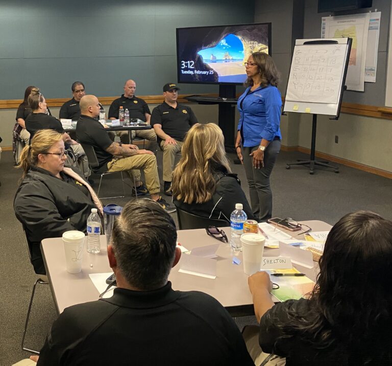 Alina STC training 768x716