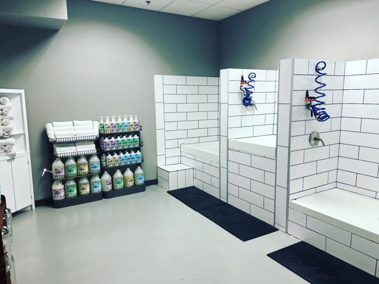 B032173C D828 4103 B7E4 AECC386DFB7F 768x576