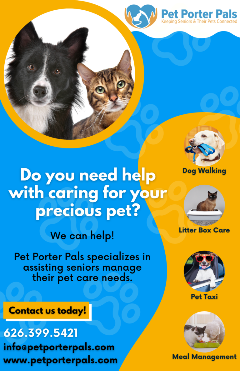 Copy of Pet Porter Pals Flyer 768x1187