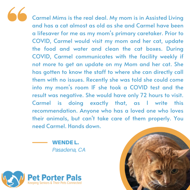 F13E66DD B43A 4DB3 AF18 30F3607D0162 1 768x768