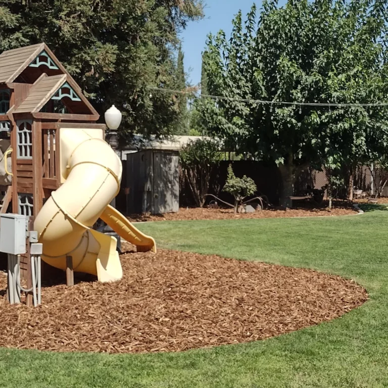 IMG 20230924 084620 275 768x768