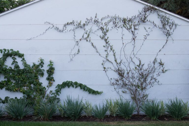 a7f9240c bab8 474c 9eb1 99c2537bde69 768x513