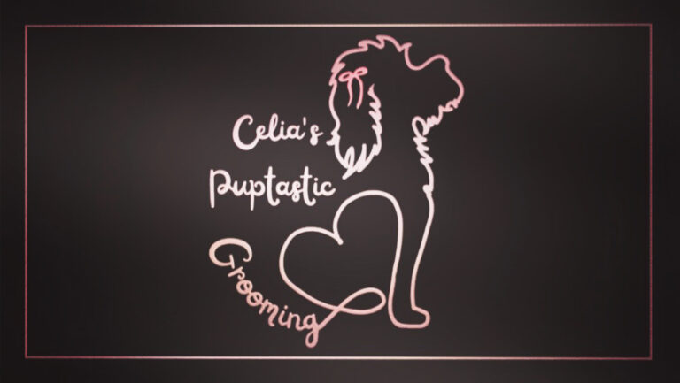 452F8291 C7F4 4D5A 8219 07D7EF0EC809 768x433