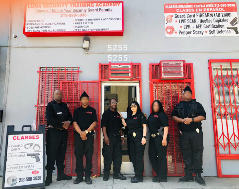 TeamLuna blurred 768x608