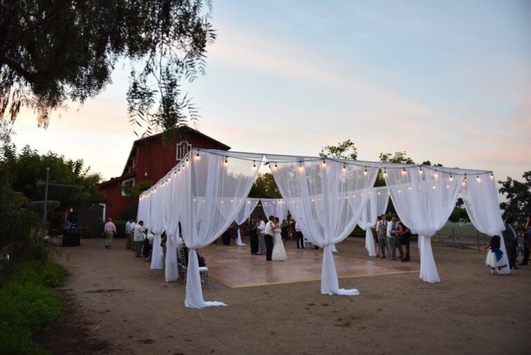 11947506 817921964995061 7773033090780964642 n 768x514