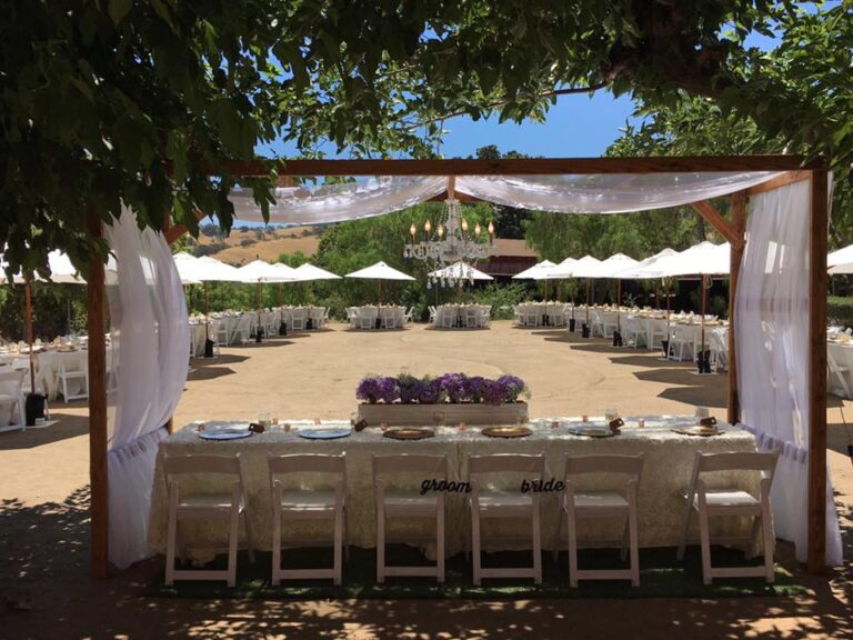 16508025 1203873669733220 2155254038987730556 n 768x576