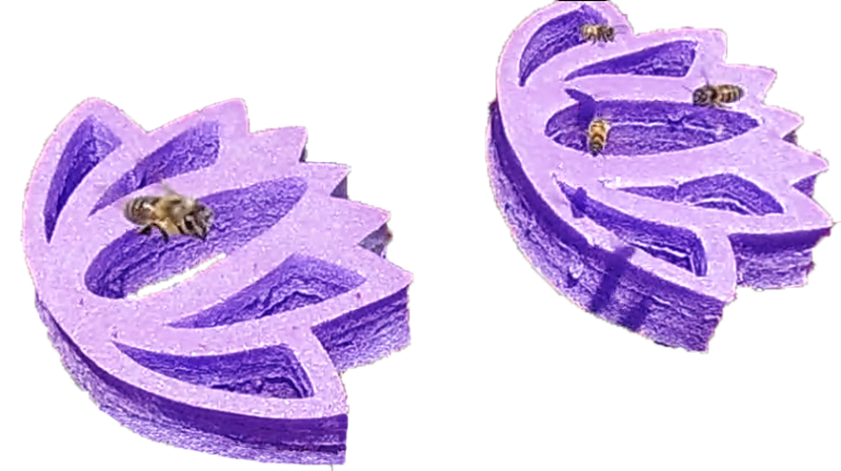 20190101 121139.00 02 16 23.Still001 768x430