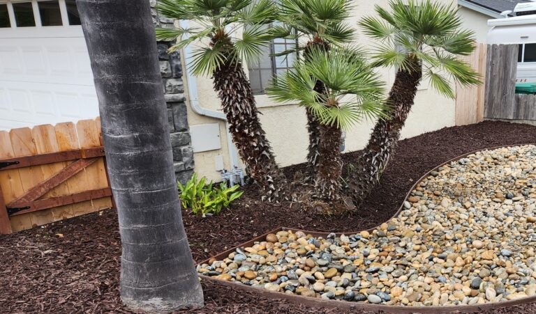 20230815 133010 768x451