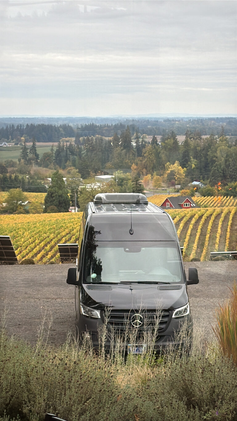 Wine Tour Service 768x1365